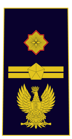 Ispettore superiore sostituto commissario ps.png